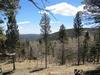 Alpine Splendor - (Drastically Reduced)